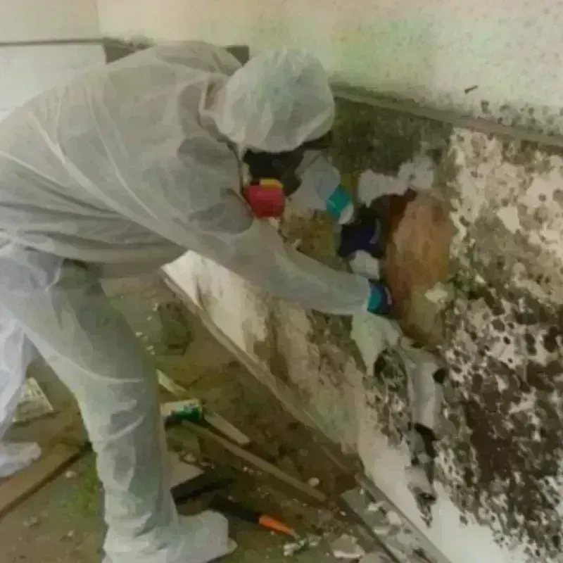 Mold Remediation and Removal in Kenmar, PA